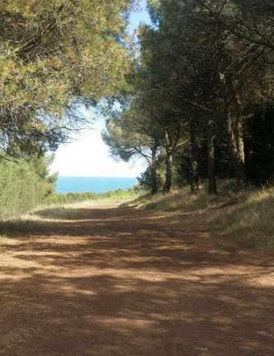 Balade au Mont Saint Loup